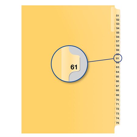 Image Individual Numerical Litigation Index Dividers
