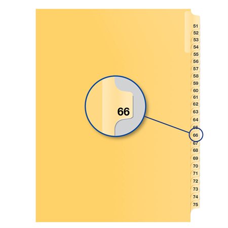Image Individual Numerical Litigation Index Dividers