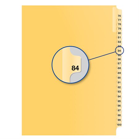 Image Individual Numerical Litigation Index Dividers