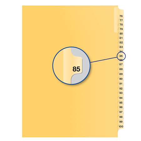 Image Individual Numerical Litigation Index Dividers