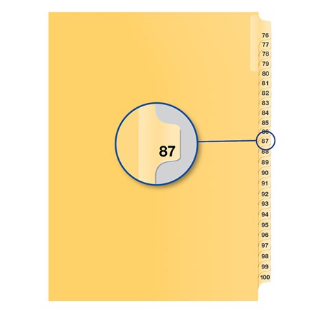 Image Individual Numerical Litigation Index Dividers