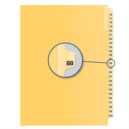 Image Individual Numerical Litigation Index Dividers