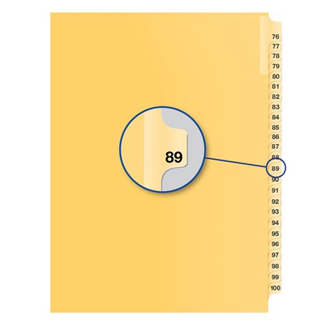 Image Individual Numerical Litigation Index Dividers