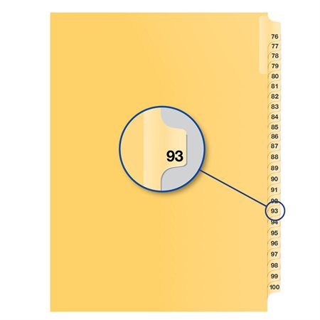 Image Individual Numerical Litigation Index Dividers