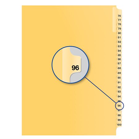 Image Individual Numerical Litigation Index Dividers