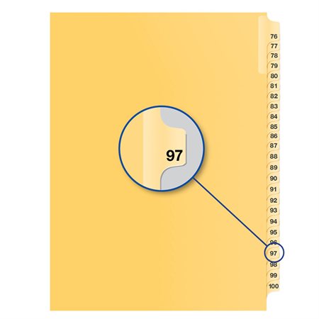 Image Individual Numerical Litigation Index Dividers