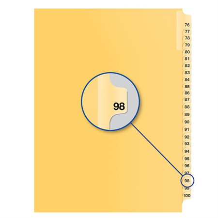 Image Individual Numerical Litigation Index Dividers