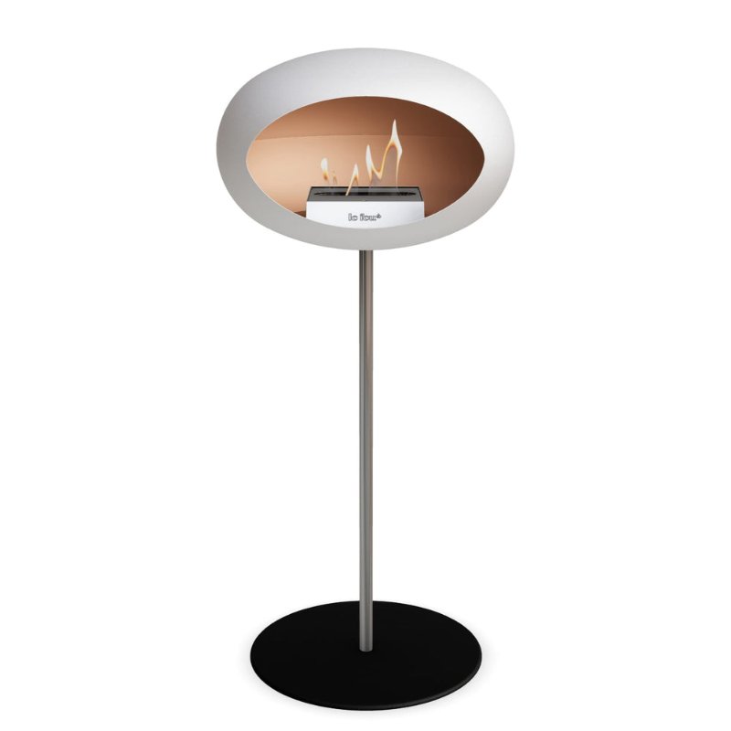 NL800038.jpg