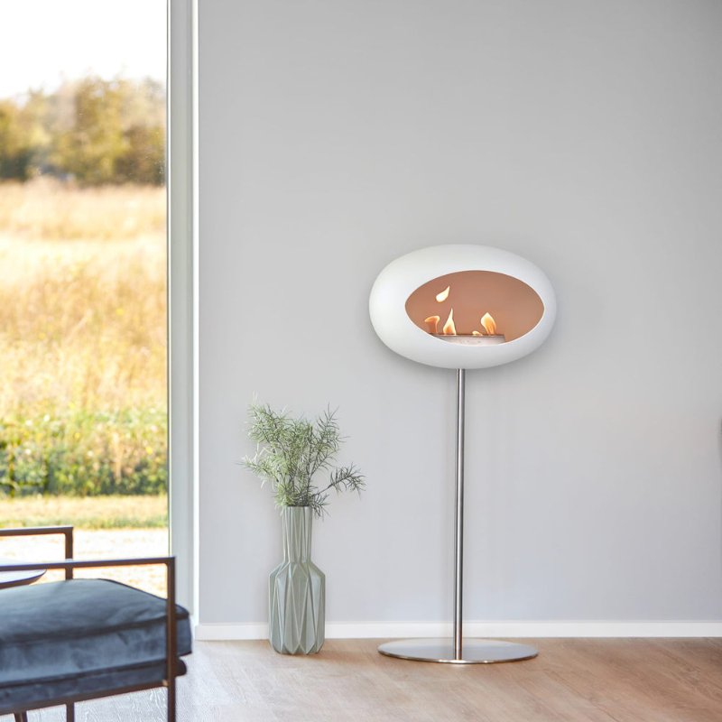 NL803645-3.jpg