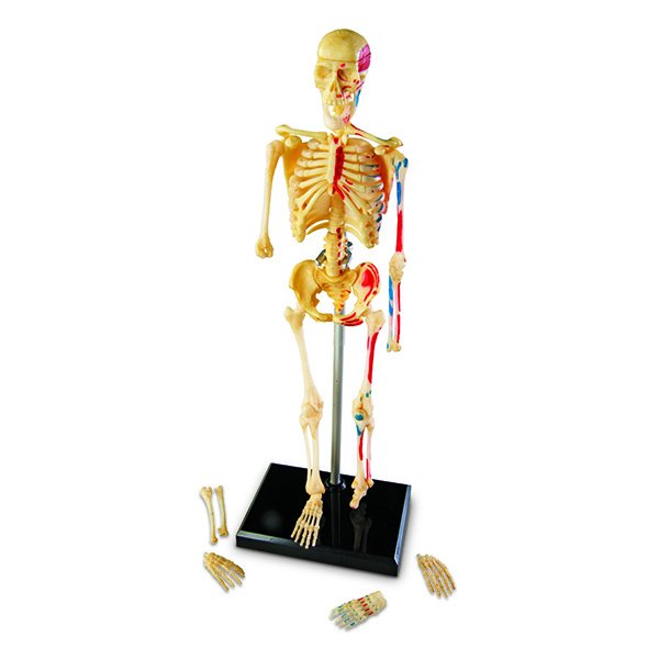 PWLER3337.jpg