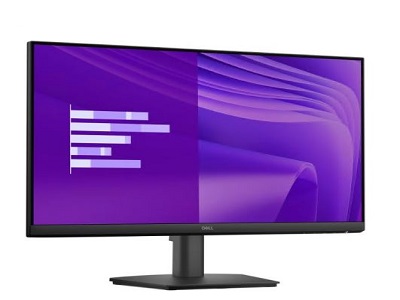 DELL DELL PRO 24 MONITOR E2425HM