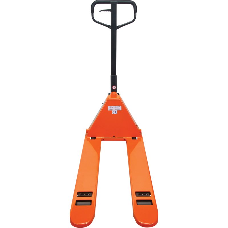SCNMP938-6.jpg