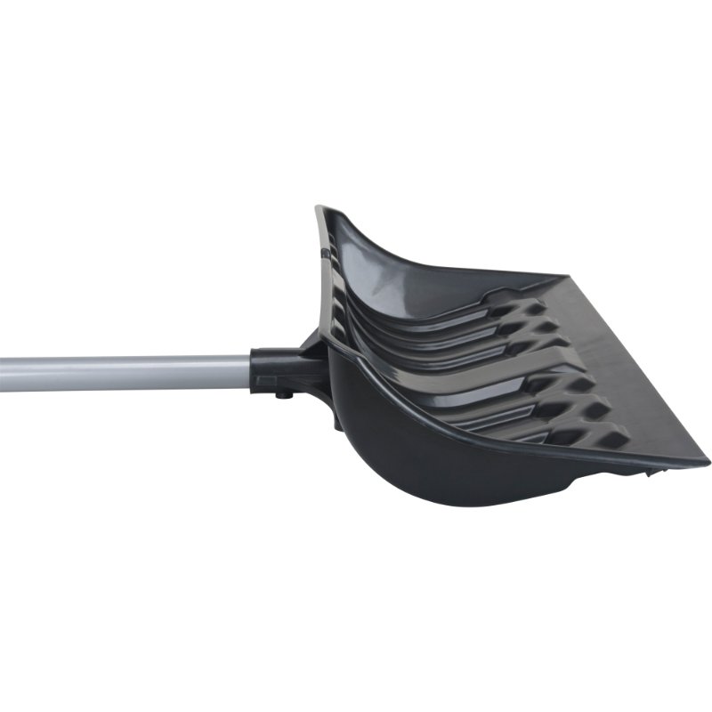 SCNNM811-3.jpg
