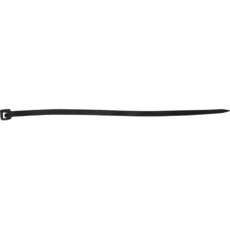 SCNPF386.jpg