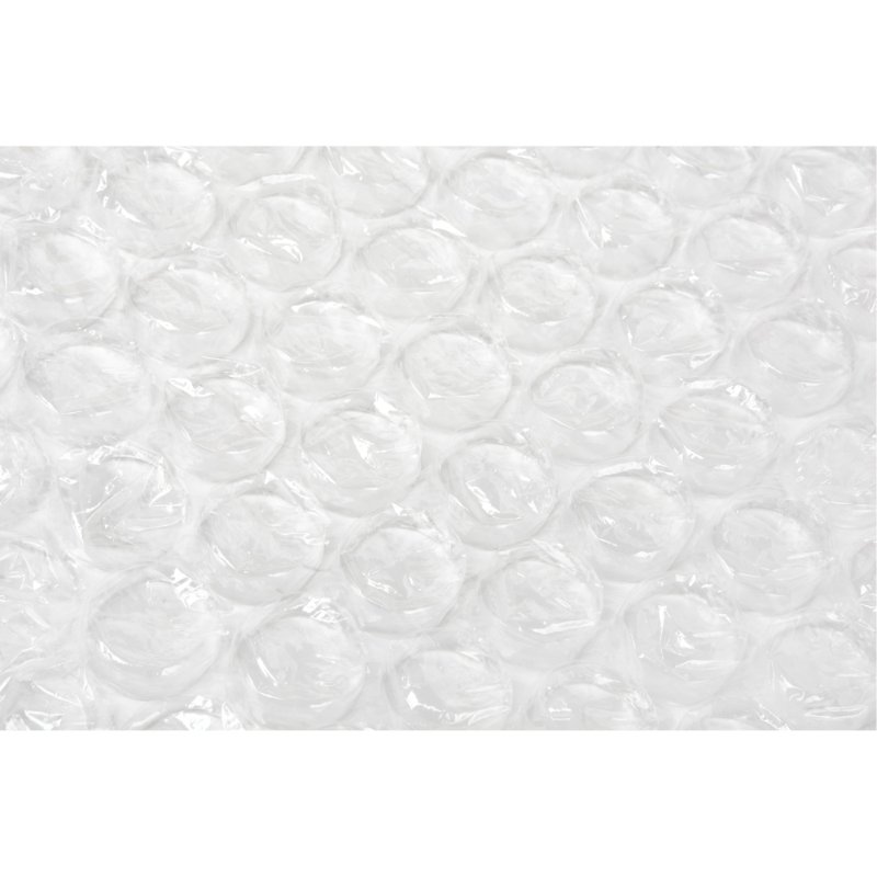 SCNPG586-2.jpg