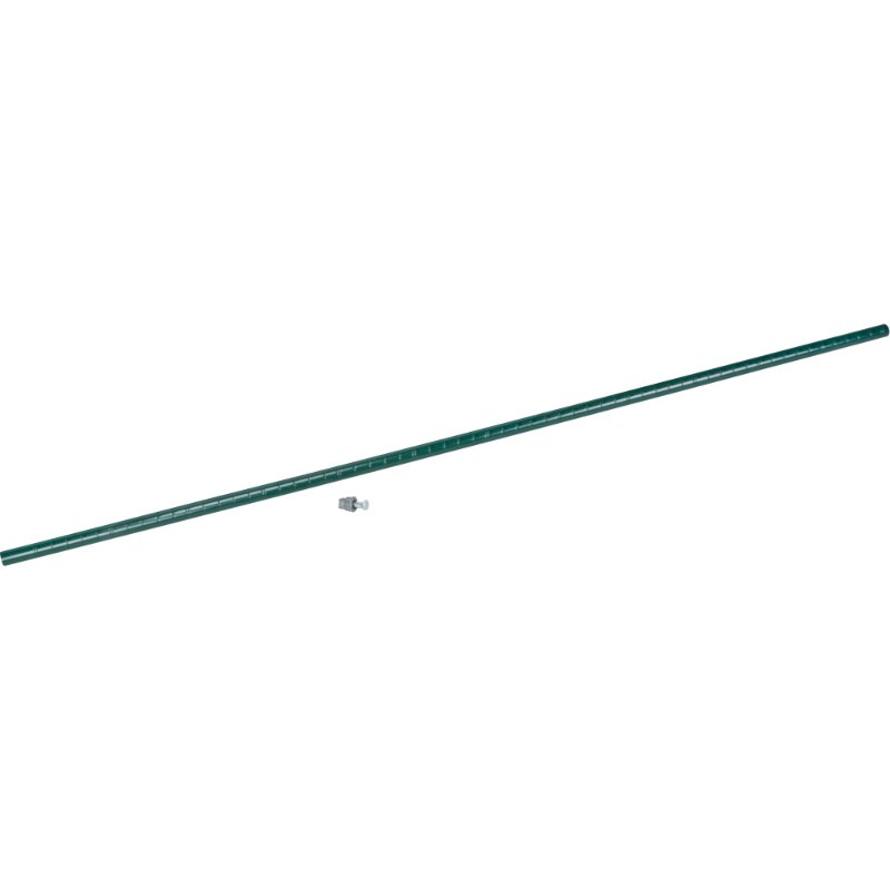 SCNRL631.jpg