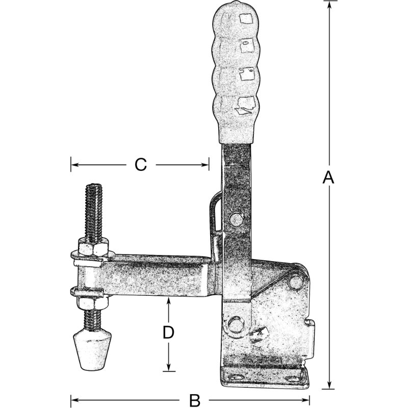 SCNTLV625-2.jpg