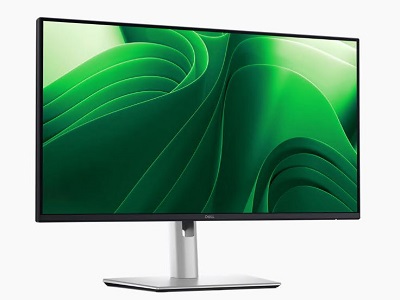 DELL DELL PRO 24 PLUS MONITOR P2425D