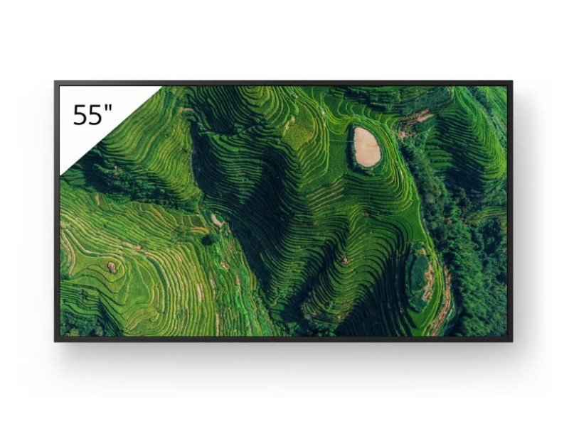 Sony Bravia Professional Displays FW-55BZ35P BZ35P Series - 55 LED-backlit LCD display - 4K - for digital signage
