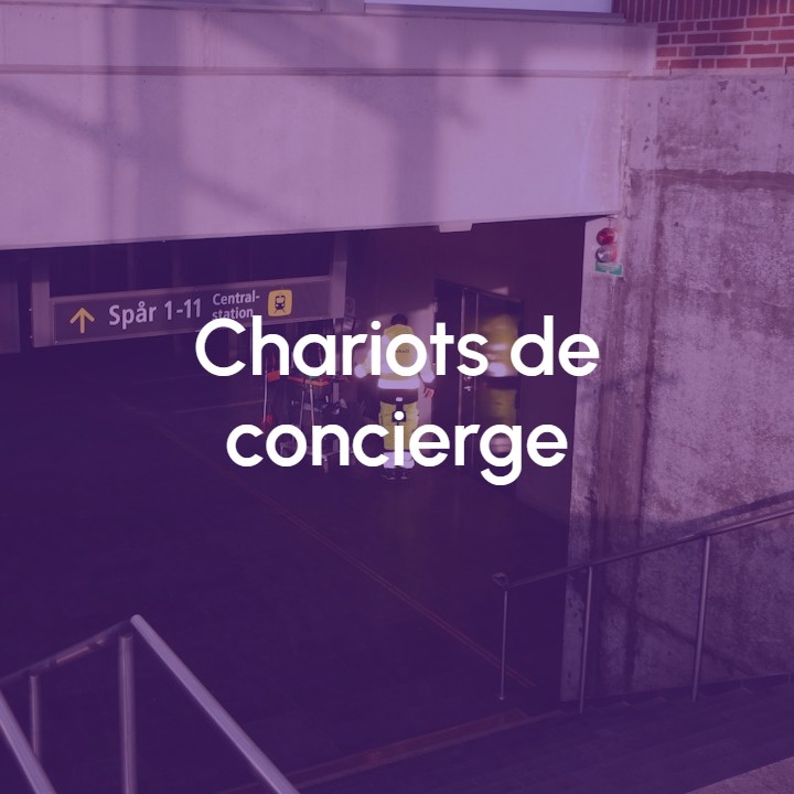 Image Chariots de concierge