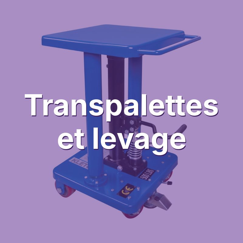 Image Transpalettes et levage
