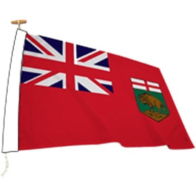 Image Drapeaux des provinces et territoires canadiens