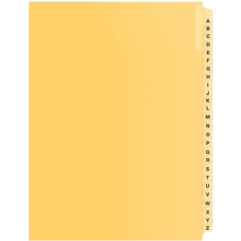 Image Litigation Index Dividers