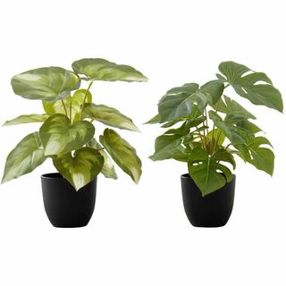 Plante artificielle Monstera et Calathea