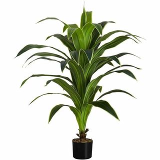 Dracaena artificiel